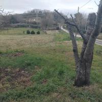 Due appezzamenti di terreno