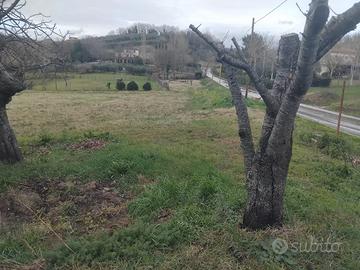 Due appezzamenti di terreno