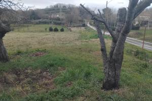 Due appezzamenti di terreno