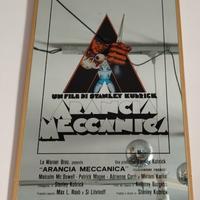 Aracia Meccanica