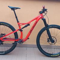 Bici mountain bike Specialized