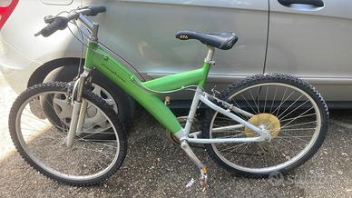 Mtb Pirinfarina “verdona” -Originale Collezionismo