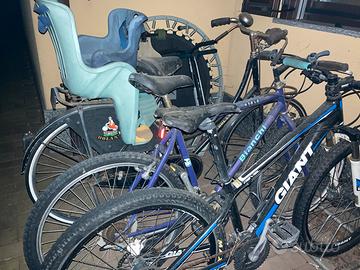 2 mtb + 1 holland vintage