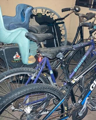 2 mtb + 1 holland vintage