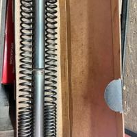 Cassa filtro/ molle forcella