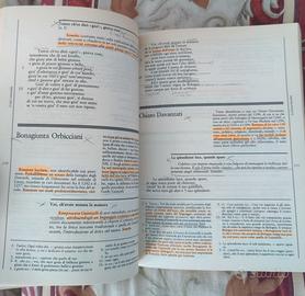 Lotto testi universitari linguistica italiana