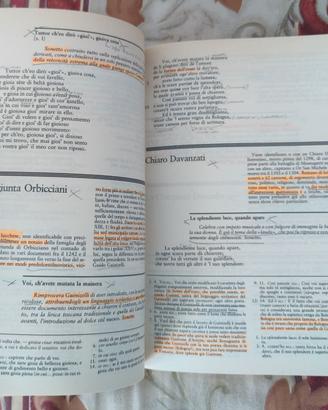 Lotto testi universitari linguistica italiana