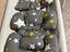 Immagine 4