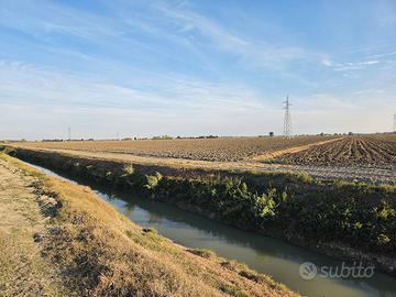 Terreno Agricolo 8,5Ha tra Copparo e Formignana FE