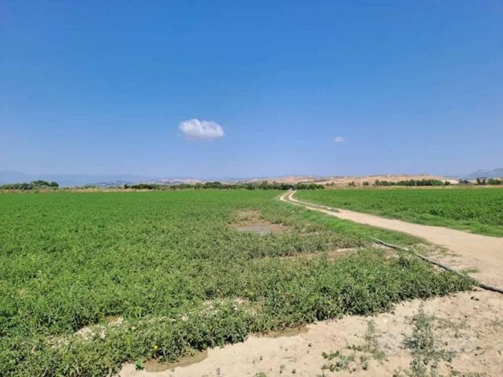 Immobile in asta di 19410 m² a Crotone - Vista 5