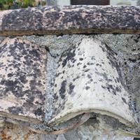 Canali, Coppi antichi. 