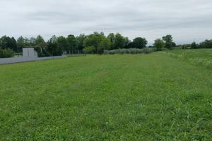 Terreno edificabile e agricolo