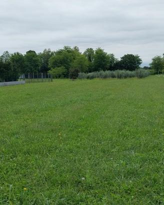 Terreno edificabile e agricolo