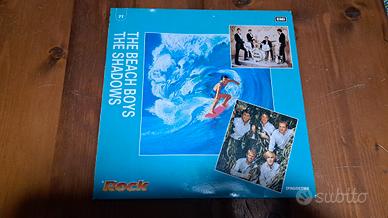 Disco in vinile Beach boys