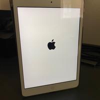 Ipad Mini 2 32gb