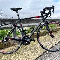Olmo veloce Zerouno