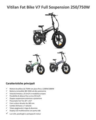 VITILAN Fat Bike V7 Full Sospension 250/750W