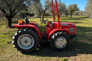 Antonio Carraro 3700