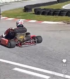 Kart 100 < CIK >