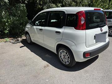Fiat Panda 1.2 Neopatentati