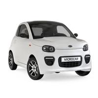 Minicar ligier dué young