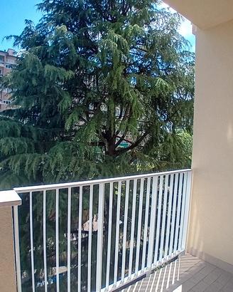2 locali ampio con balcone cucina e cantina