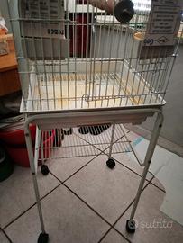 gabbia per pappagalli 