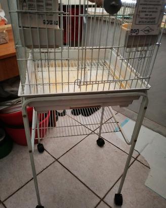 gabbia per pappagalli 