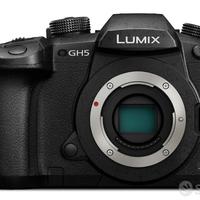 Lumix gh5