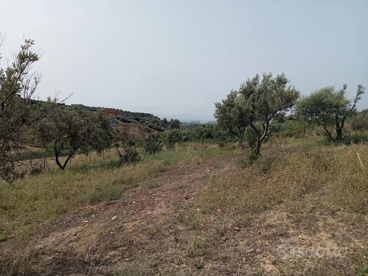 Terreno - Motta Sant'Anastasia - Vista 4