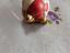 Immagine 6
