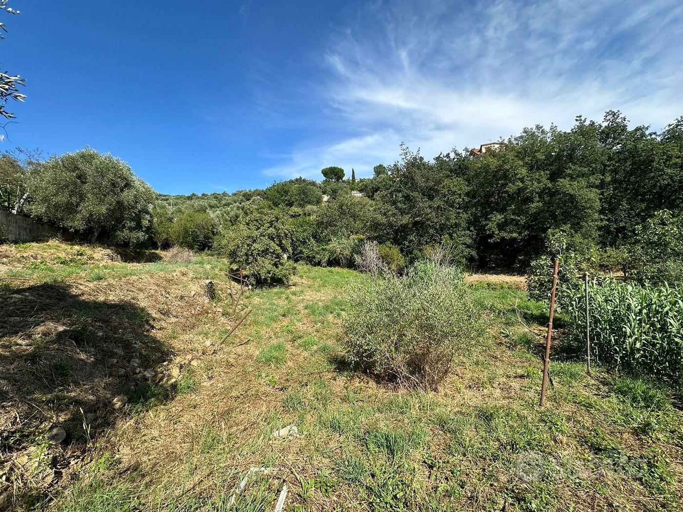 Terreno Residenziale Imperia [Cod. rif 802VRG] - Vista 6