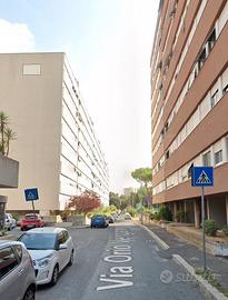 Eur grazioso trilocale arredato