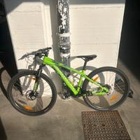 Bici verde grunion