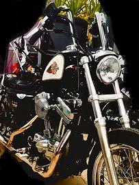 Harley Davidson 883