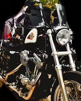 Harley Davidson 883