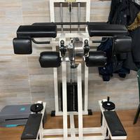 STANDING GLUTEUS TECHNOGYM