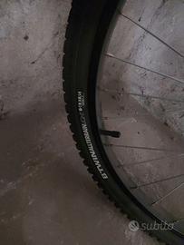 Bicicletta ragazzo 10-14 anni