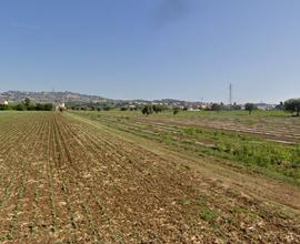 Terreno Agricolo Roseto degli Abruzzi [115269VCG]