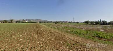 Terreno Agricolo Roseto degli Abruzzi [115269VCG]