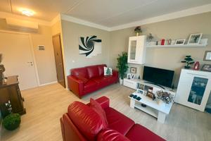 Luminoso e curato bicamere biservizi