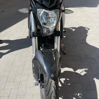 benelli bn 251 bn251