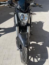 benelli bn 251 bn251