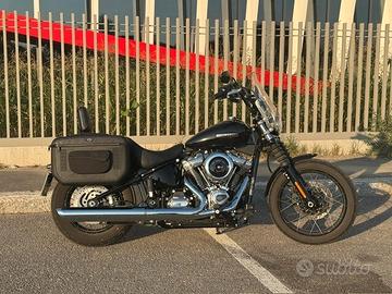 H-D Street Bob 117 IN ARRIVO