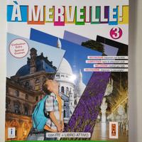 À merveille! Volume 3
