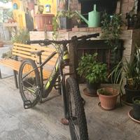 bici elettrica 750w