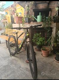 bici elettrica 750w