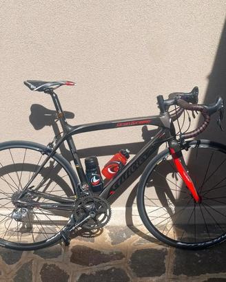 Wilier Triestina Gran Turismo - 54 Taglia M