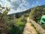 Immagine 30
