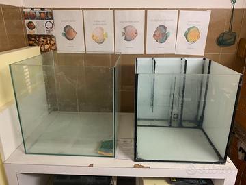 Acquari riproduzione discus+ accessori+ Acquario